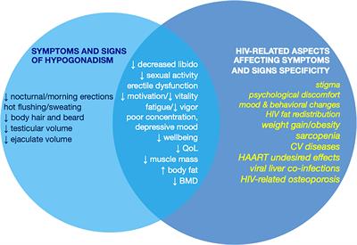 Frontiers Update on acquired hypogonadism in men living with HIV